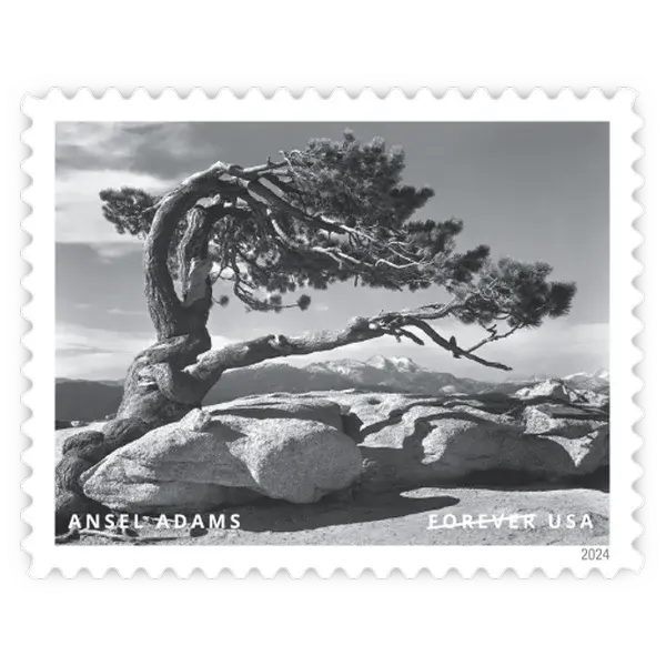 Ansel Adams Forever Stamp 2024 - Image 4