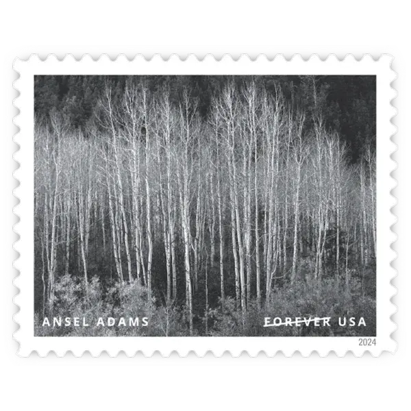 Ansel Adams Forever Stamp 2024 - Image 7