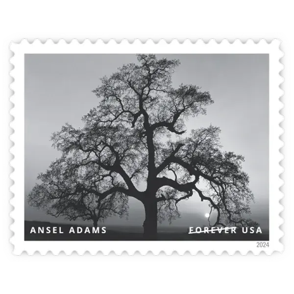 Ansel Adams Forever Stamp 2024 - Image 10