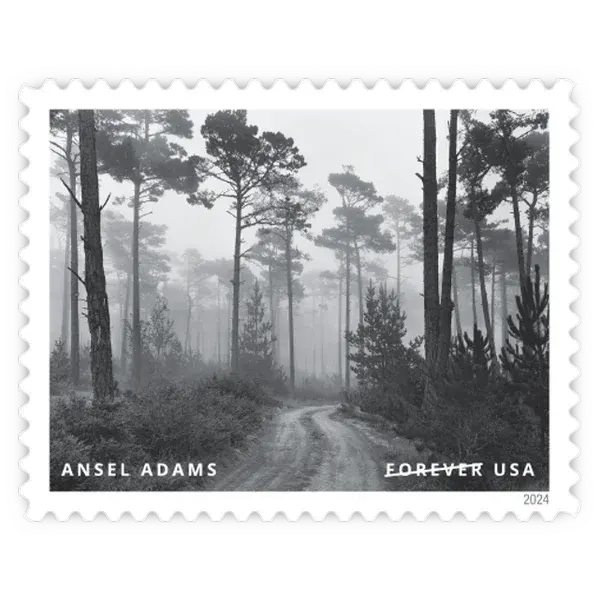 Ansel Adams Forever Stamp 2024 - Image 14