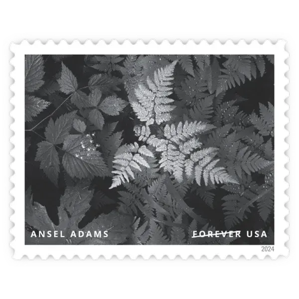 Ansel Adams Forever Stamp 2024 - Image 16