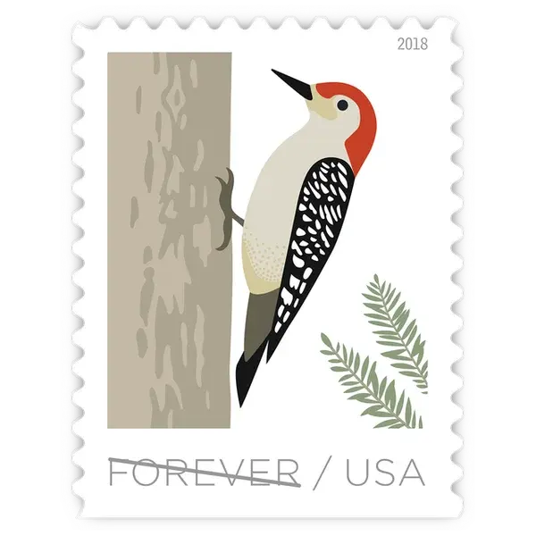 Birds in Winter Forever Stamp 2018 - Image 4