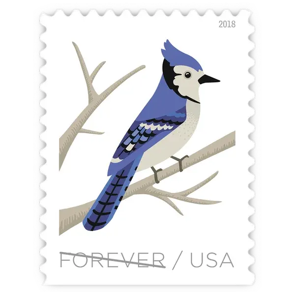 Birds in Winter Forever Stamp 2018 - Image 5