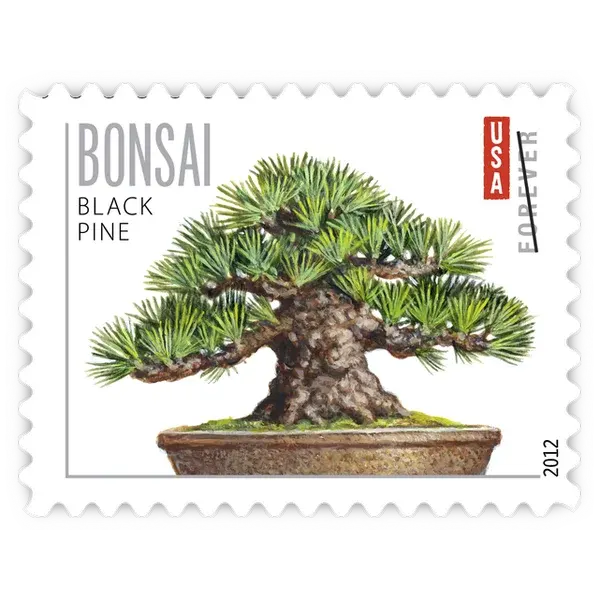 Bonsai Trees Forever Stamp 2012 - Image 4