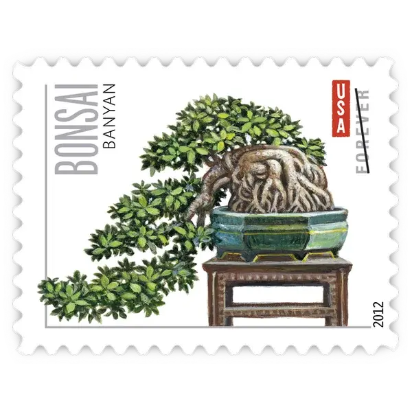 Bonsai Trees Forever Stamp 2012 - Image 5