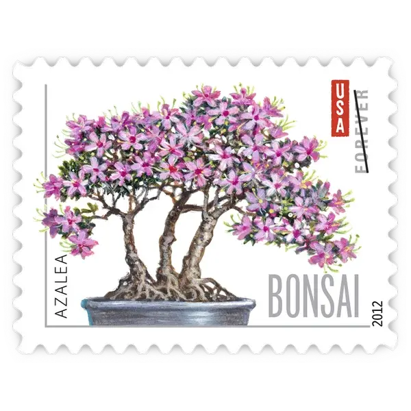 Bonsai Trees Forever Stamp 2012 - Image 6