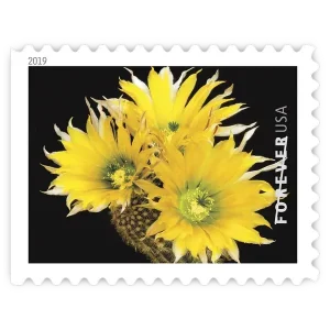 Cactus Flowers Forever Stamp 2019