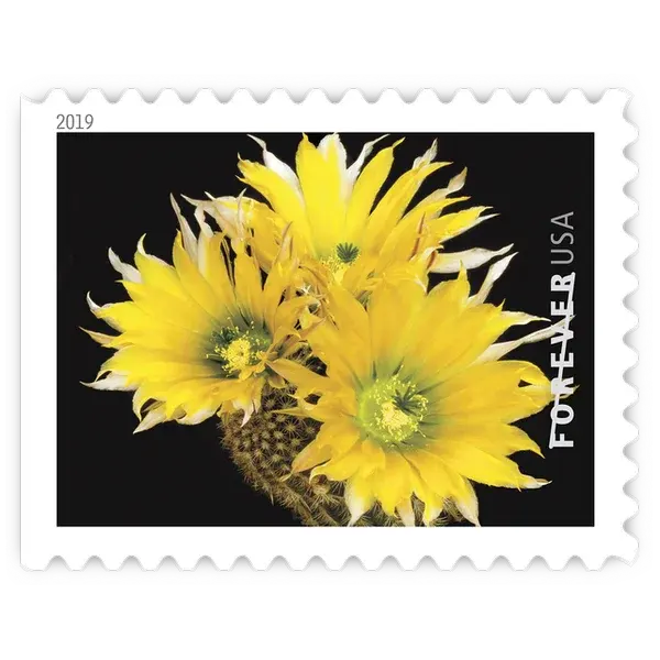 Cactus Flowers Forever Stamp 2019