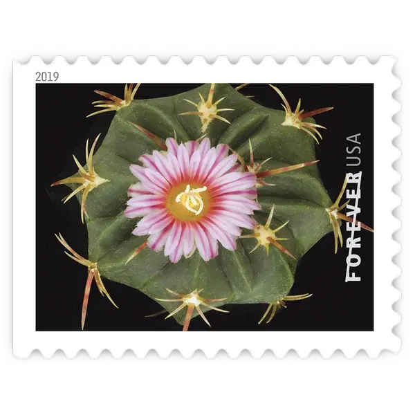 Cactus Flowers Forever Stamp 2019 - Image 4