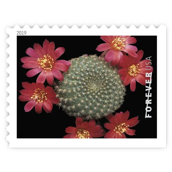 Cactus Flowers Forever Stamp 2019 - Image 5
