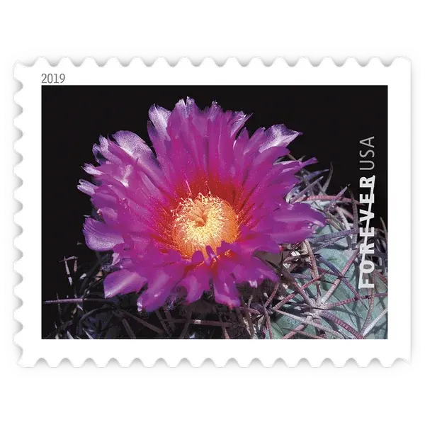 Cactus Flowers Forever Stamp 2019 - Image 8