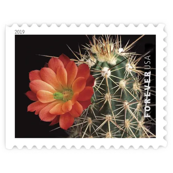 Cactus Flowers Forever Stamp 2019 - Image 11
