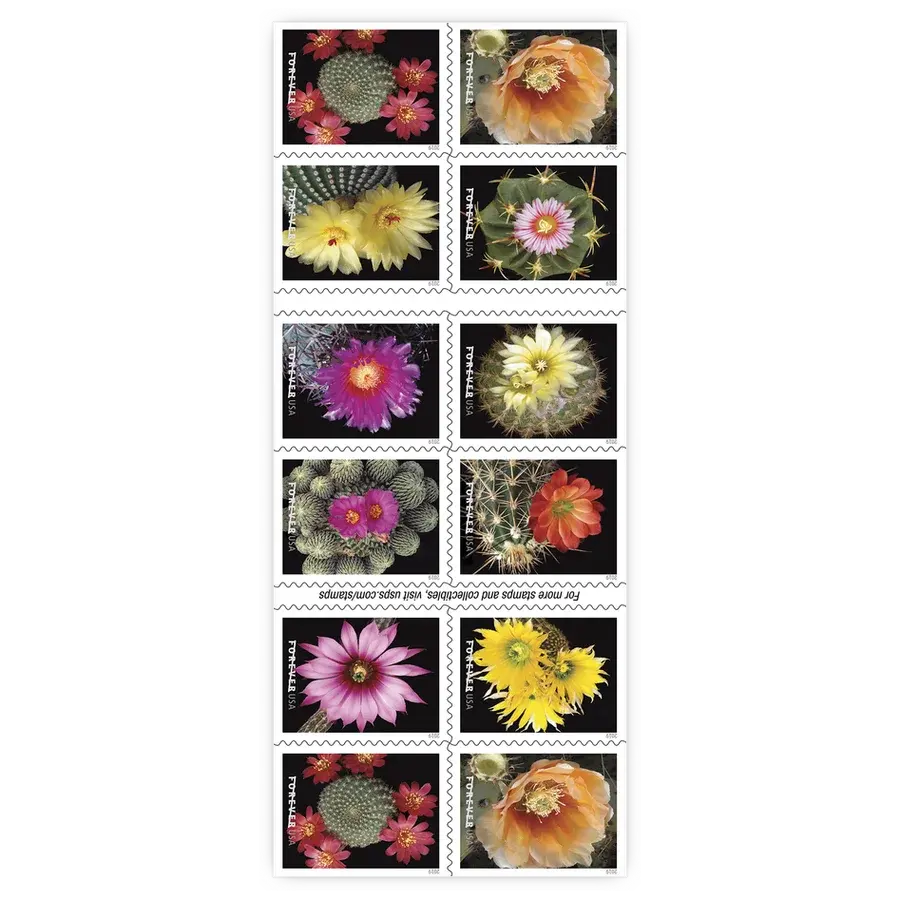 Cactus Flowers Forever Stamp 2019 - Image 2