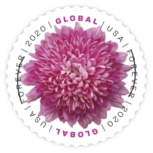 Global:Chrysanthemum Forever Stamp 2020