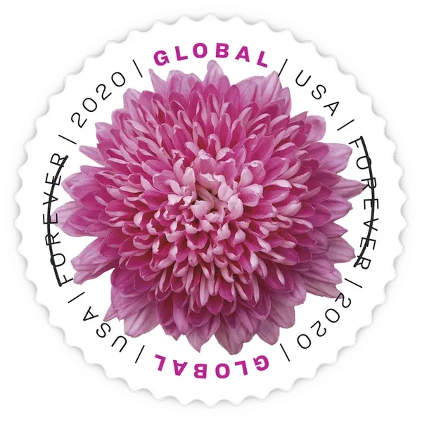 Global:Chrysanthemum Forever Stamp 2020