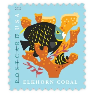 Postcard: Coral Reefs Forever Stamp 2019