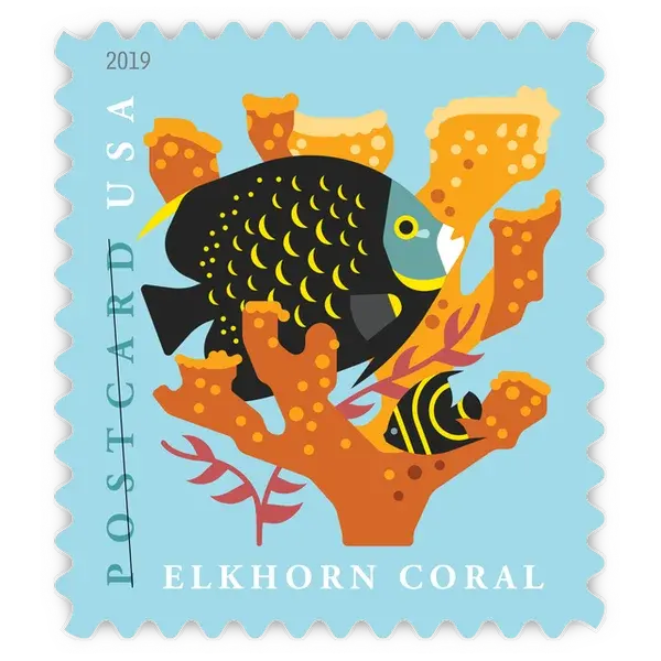 Postcard: Coral Reefs Forever Stamp 2019