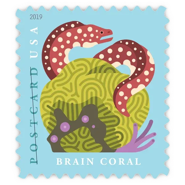 Postcard: Coral Reefs Forever Stamp 2019 - Image 3
