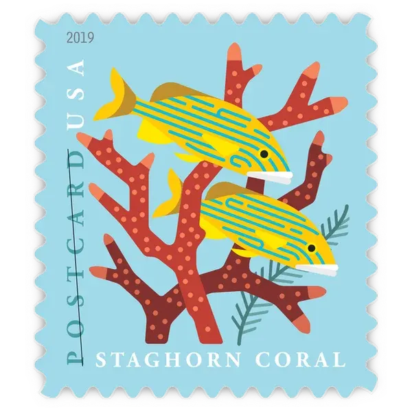 Postcard: Coral Reefs Forever Stamp 2019 - Image 4