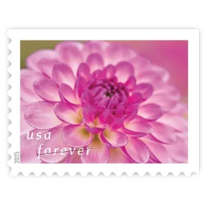 Dahlias Forever Stamp 2025