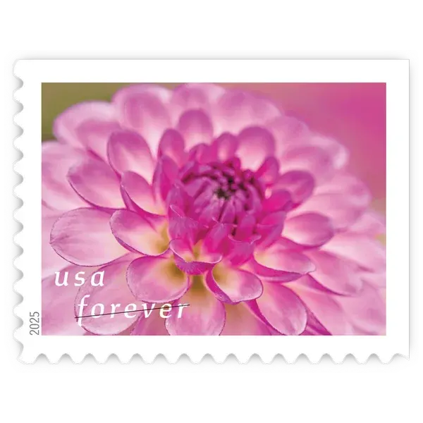 Dahlias Forever Stamp 2025