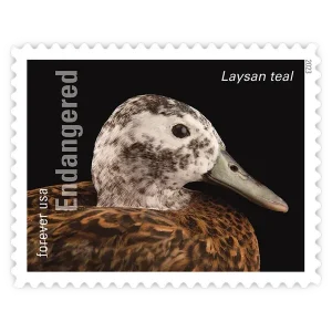 Endangered Species Forever Stamp 2023