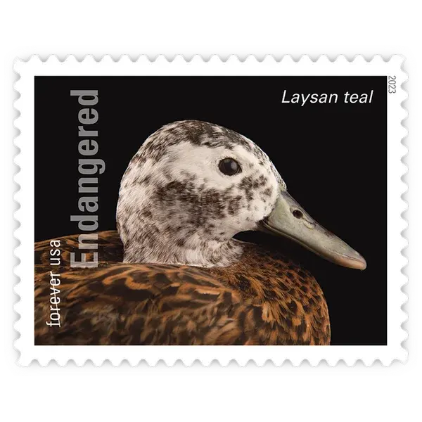 Endangered Species Forever Stamp 2023