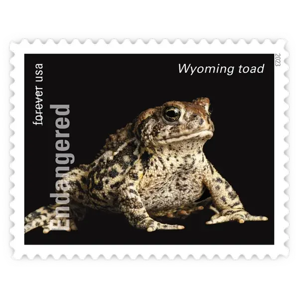 Endangered Species Forever Stamp 2023 - Image 3