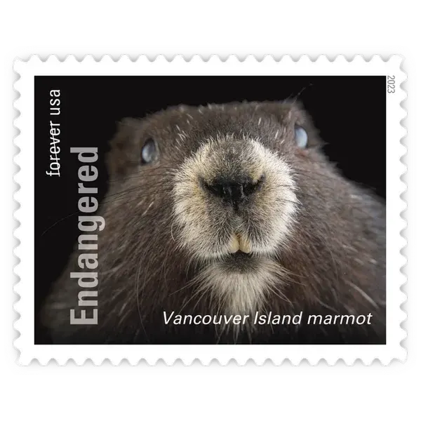 Endangered Species Forever Stamp 2023 - Image 4