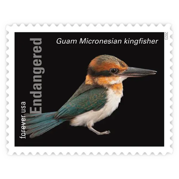 Endangered Species Forever Stamp 2023 - Image 6