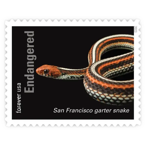 Endangered Species Forever Stamp 2023 - Image 7