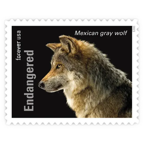 Endangered Species Forever Stamp 2023 - Image 8