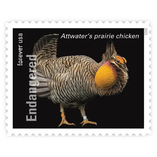 Endangered Species Forever Stamp 2023 - Image 9