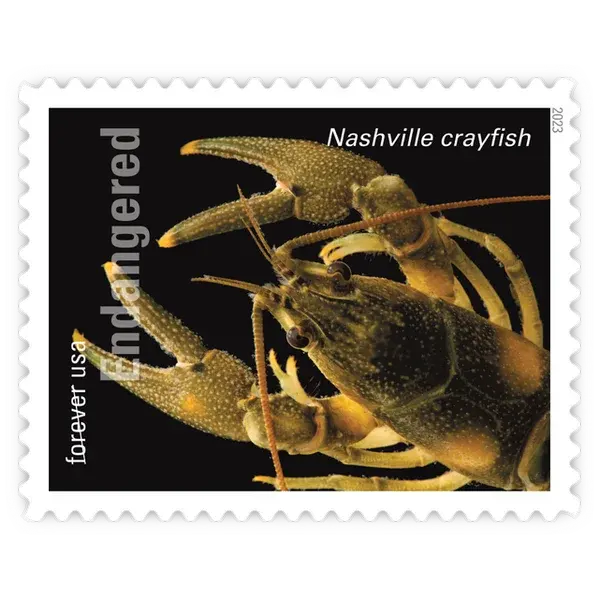 Endangered Species Forever Stamp 2023 - Image 10