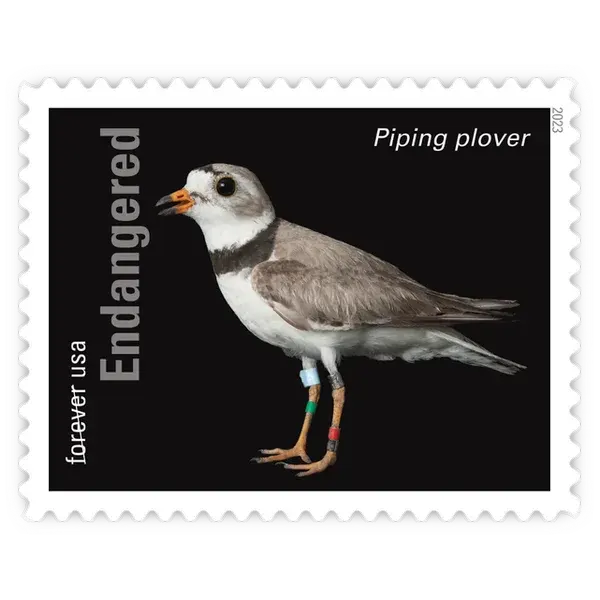 Endangered Species Forever Stamp 2023 - Image 11