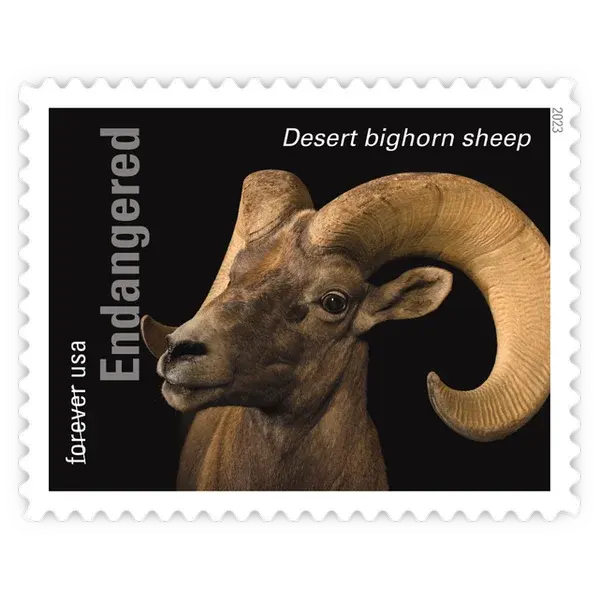 Endangered Species Forever Stamp 2023 - Image 12