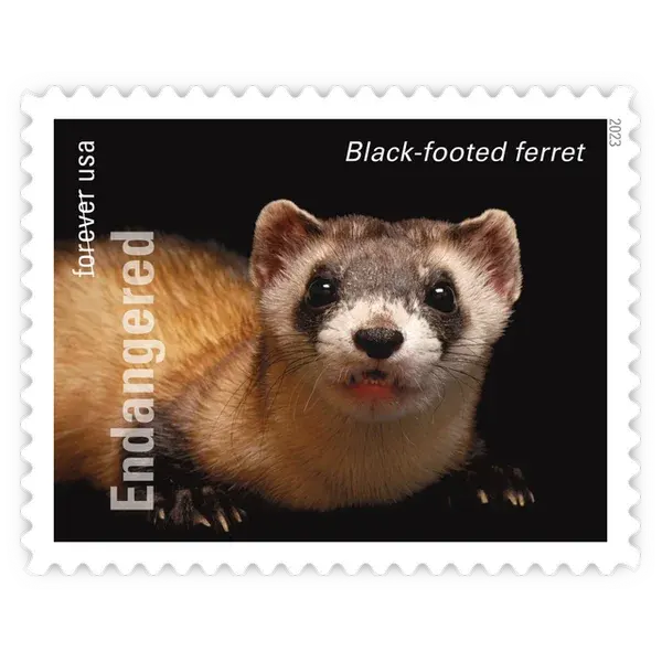 Endangered Species Forever Stamp 2023 - Image 13