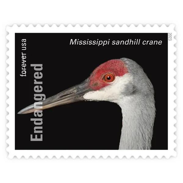Endangered Species Forever Stamp 2023 - Image 14