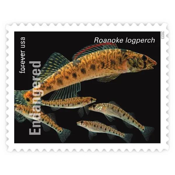 Endangered Species Forever Stamp 2023 - Image 15