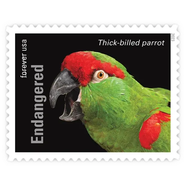 Endangered Species Forever Stamp 2023 - Image 16