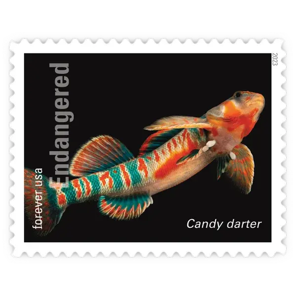 Endangered Species Forever Stamp 2023 - Image 17