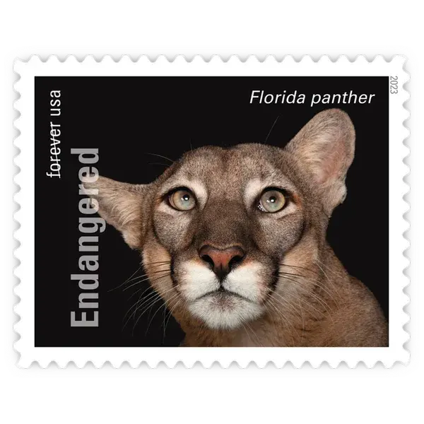 Endangered Species Forever Stamp 2023 - Image 18
