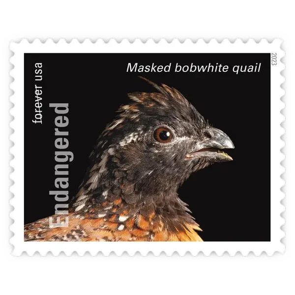 Endangered Species Forever Stamp 2023 - Image 19