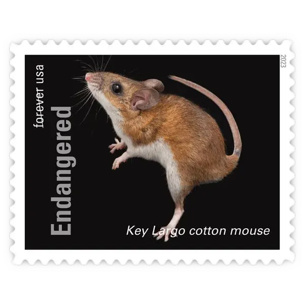 Endangered Species Forever Stamp 2023 - Image 20