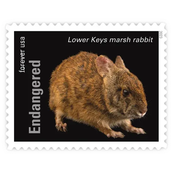Endangered Species Forever Stamp 2023 - Image 21
