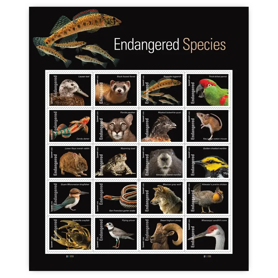 Endangered Species Forever Stamp 2023 - Image 2