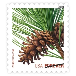 Holiday Evergreens Forever Stamp 2010