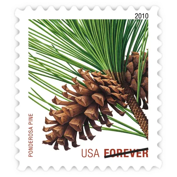 Holiday Evergreens Forever Stamp 2010