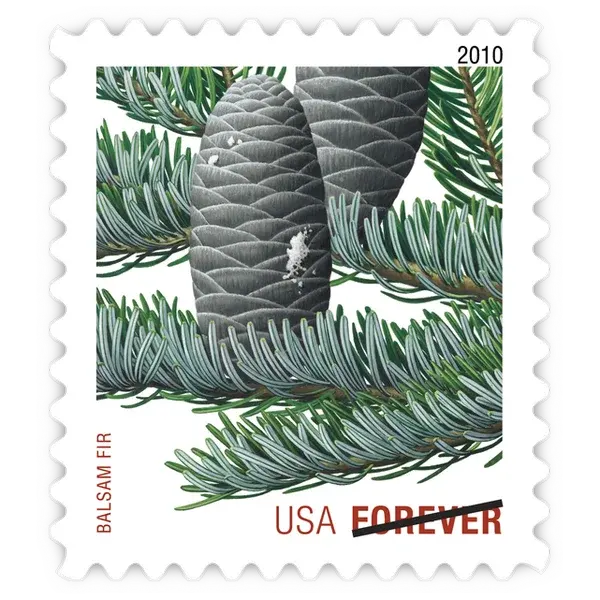 Holiday Evergreens Forever Stamp 2010 - Image 5