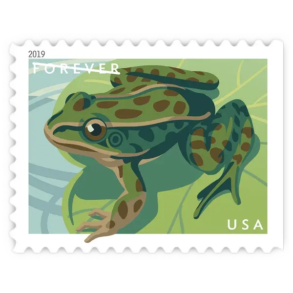 Frogs Forever Stamp 2019 - Image 3